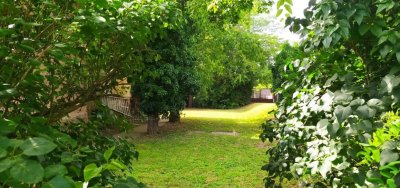 SASHALMON 998 nm-es TELEK ELADÓ